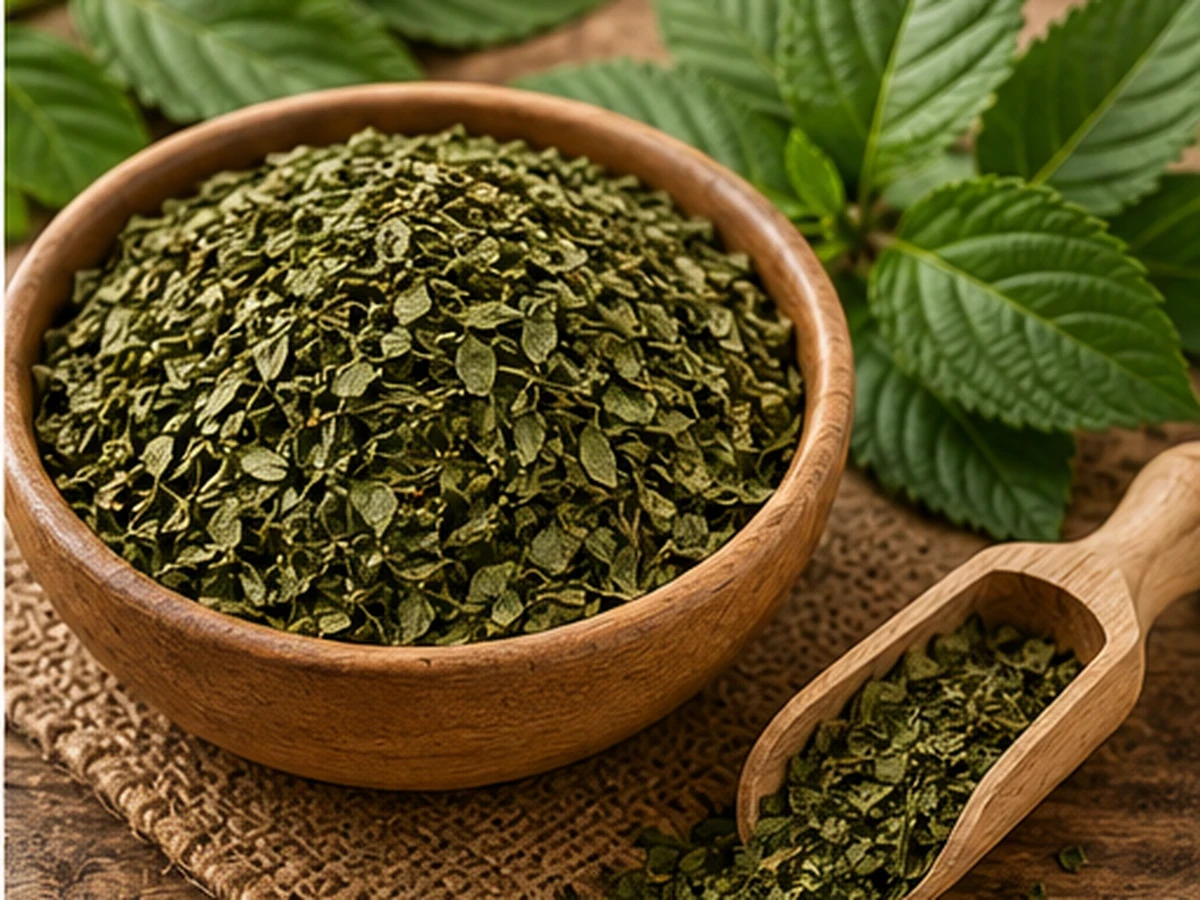 المجففات